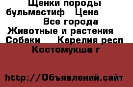 Щенки породы бульмастиф › Цена ­ 25 000 - Все города Животные и растения » Собаки   . Карелия респ.,Костомукша г.